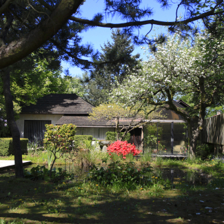 Arthur Erickson House and Garden View