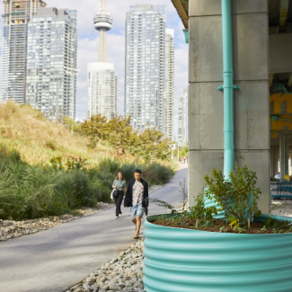 Bentway Staging Grounds site image