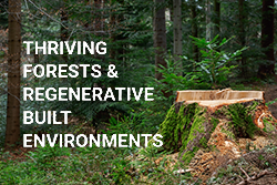 Thriving Forests & Regenerative Built Environments
