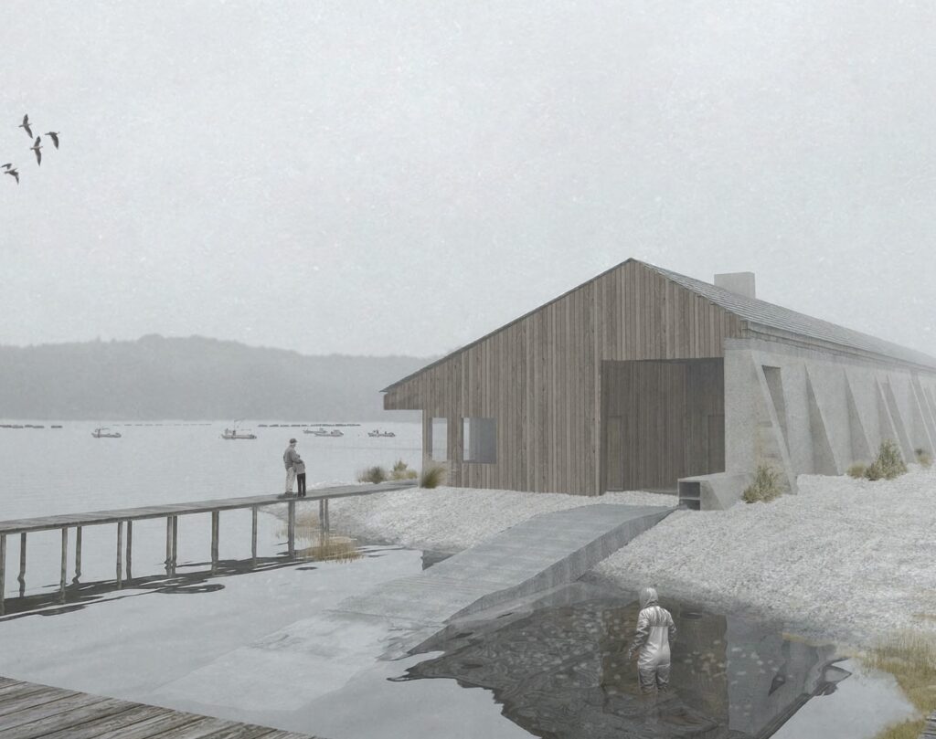 Rachel Henson: Shellstone project
